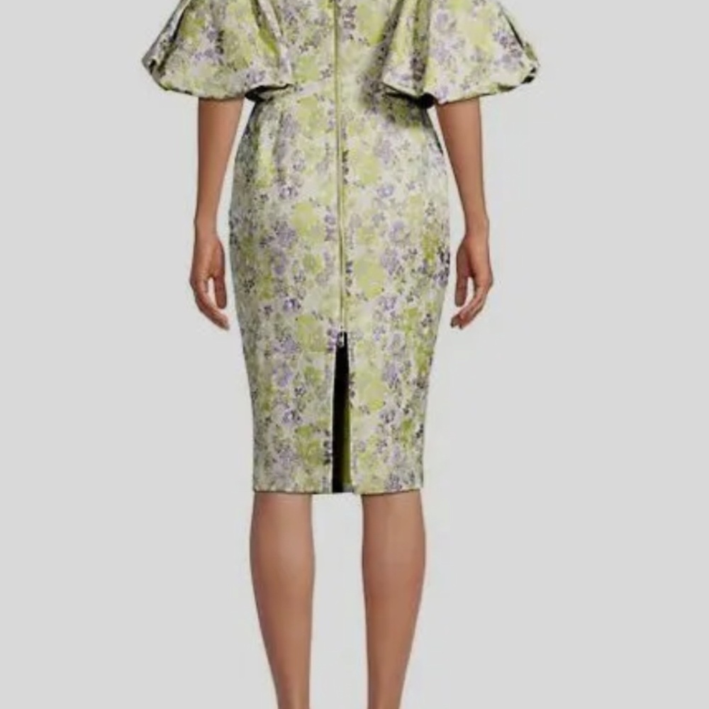 Lavish Alice Dress - Picture 2 of 3